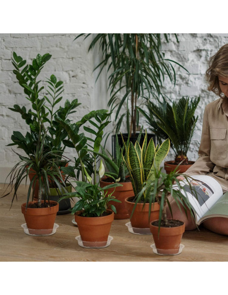 Plato para Plantas Rocutus 15.24 cm - Paquete de 20 Bandejas de Goteo