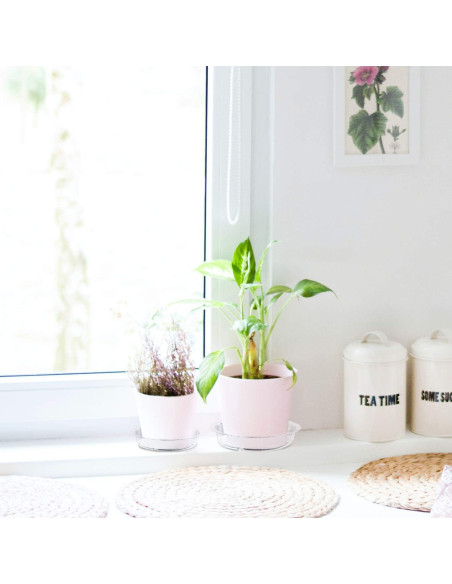 Plato para Plantas Rocutus 15.24 cm - Paquete de 20 Bandejas de Goteo