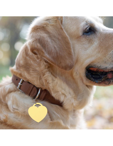 Pulseras de Encanto Corazón MECCANIXITY 10Pcs 31x30mm