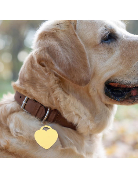 Pulseras de Encanto Corazón MECCANIXITY 10Pcs 31x30mm