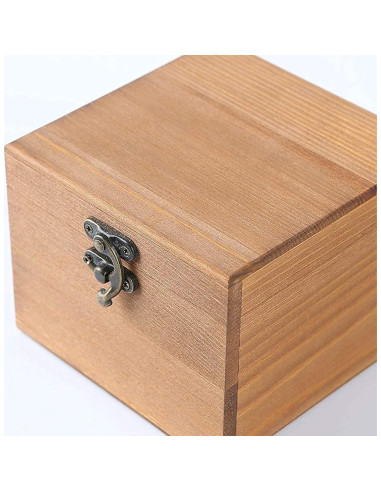 10 Ganchos de Cierre Antiguos Rierdge para Caja de Joyería Bronce