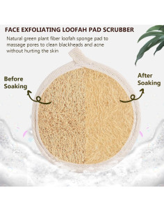 Paquete de 3 Esponjas Exfoliantes de Lufa Natural 10.16 cm 2