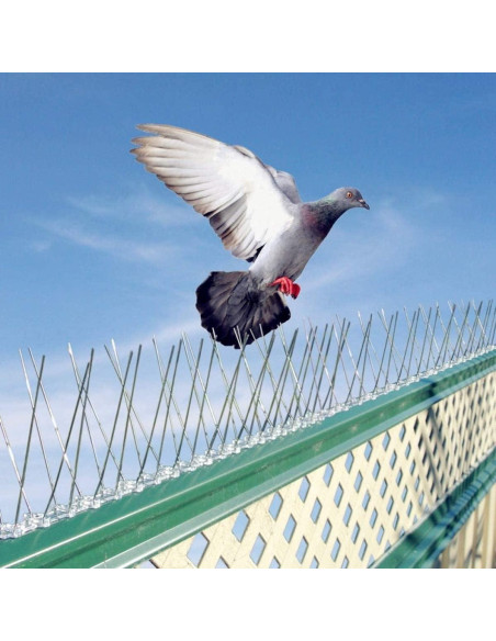 Picos de Aves Bird-Away 1.5m Acero Inoxidable 3 Tiras