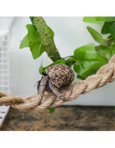 Escalera de Cuerda para Reptiles Neeenn 66cm Cánamo Natural 2