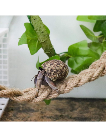 Escalera de Cuerda para Reptiles Neeenn 66cm Cánamo Natural