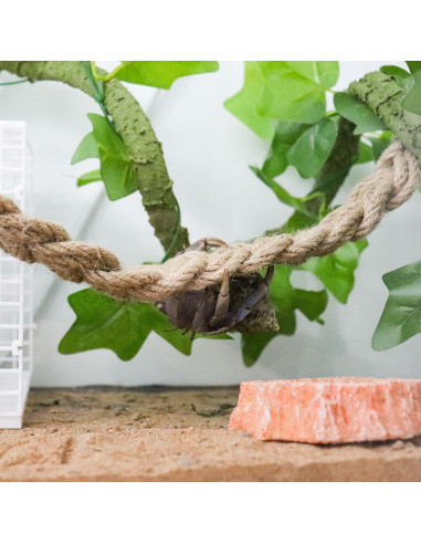Escalera de Cuerda para Reptiles Neeenn 66cm Cánamo Natural