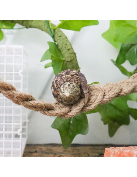 Escalera de Cuerda para Reptiles Neeenn 66cm Cánamo Natural