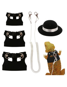 Conjunto Correa y Arnés Dragón Barbudo KURTOPLLY 3 Tamaños