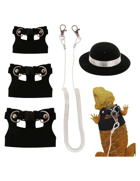 Conjunto Correa y Arnés Dragón Barbudo KURTOPLLY 3 Tamaños