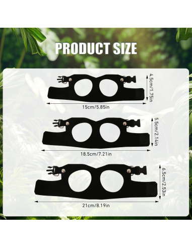 Conjunto Correa y Arnés Dragón Barbudo KURTOPLLY 3 Tamaños