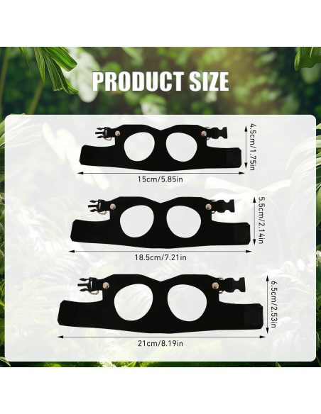 Conjunto Correa y Arnés Dragón Barbudo KURTOPLLY 3 Tamaños