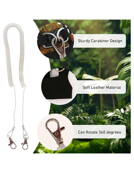 Conjunto Correa y Arnés Dragón Barbudo KURTOPLLY 3 Tamaños