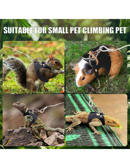 Conjunto Correa y Arnés Dragón Barbudo KURTOPLLY 3 Tamaños