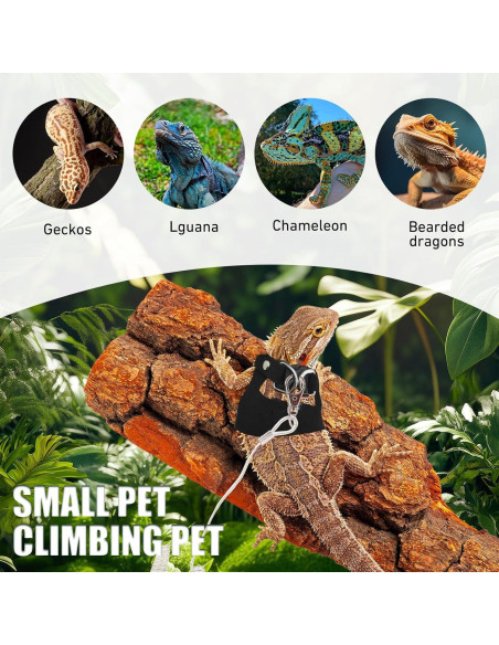 Conjunto Correa y Arnés Dragón Barbudo KURTOPLLY 3 Tamaños