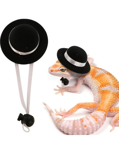 Conjunto Correa y Arnés Dragón Barbudo KURTOPLLY 3 Tamaños