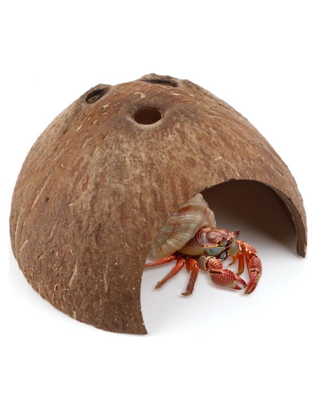 Escondite Natural de Coco Hypeety para Reptiles y Acuarios