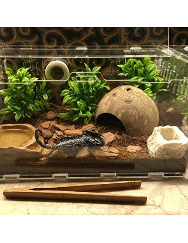 Escondite Natural de Coco Hypeety para Reptiles y Acuarios