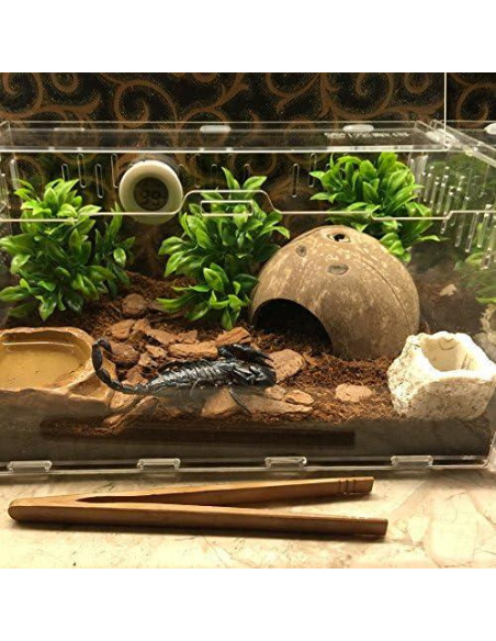 Escondite Natural de Coco Hypeety para Reptiles y Acuarios