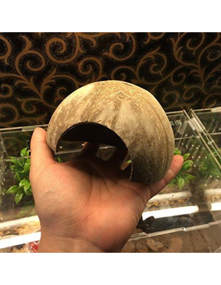 Escondite Natural de Coco Hypeety para Reptiles y Acuarios