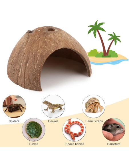 Escondite Natural de Coco Hypeety para Reptiles y Acuarios
