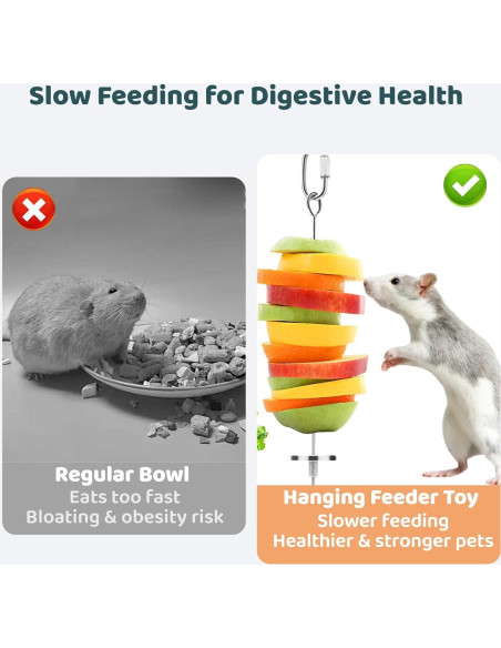 Accesorios para jaula Coalinker - Juguetes forrajeo 2 paquetes