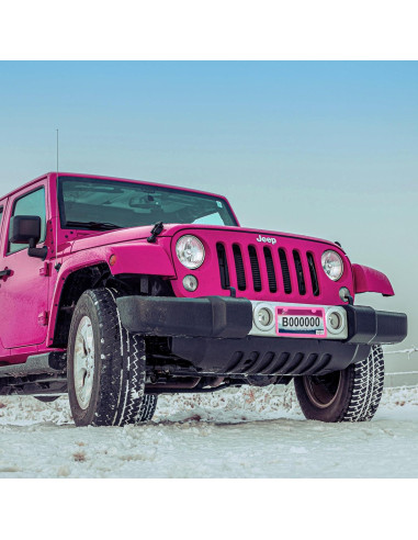 Marco de Placa de Licencia Rosa Carsories Universal 30.99x16cm