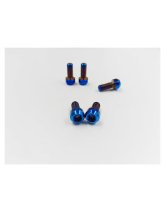 5 Tornillos Antirrobo de Titanio TC4 M6x15mm Azul - Decorativos