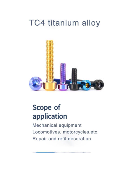 5 Tornillos Antirrobo de Titanio TC4 M6x15mm Azul - Decorativos