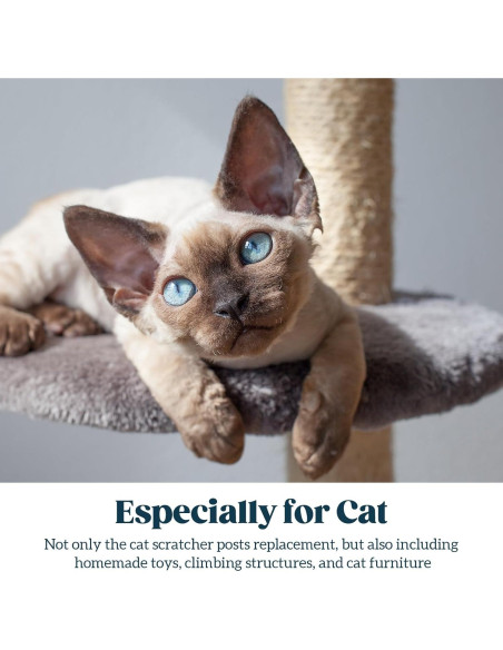 Cuerda de sisal natural PELZIN 0.64 cm x 15.24 m para gatos