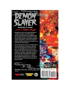 Demon Slayer: Kimetsu no YaibaStories of Water and Flame 2