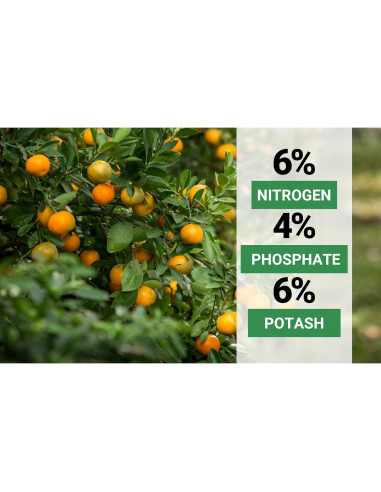 Fertilizante Orgánico para Cítricos GardenWise 4L - NPK Balanceado