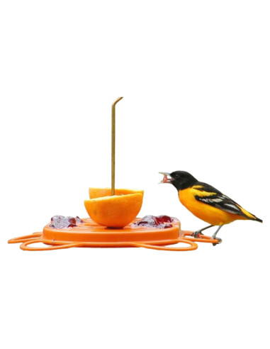 Comedero para Orioles Birds Choice Oriolefest 12 oz Naranja
