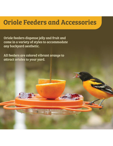 Comedero para Orioles Birds Choice Oriolefest 12 oz Naranja