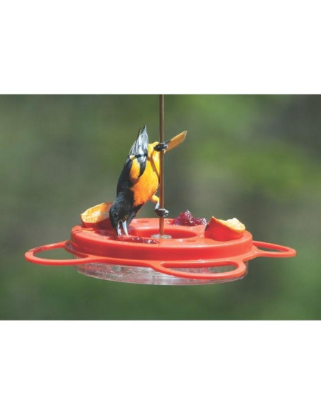 Comedero para Orioles Birds Choice Oriolefest 12 oz Naranja