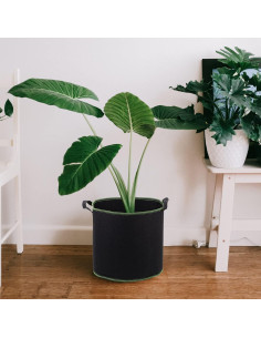 Bolsas de Crecimiento de Tela YARNOW 4 Galones 5 Pcs 2