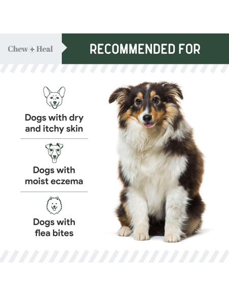 Crema Antipicazón Chew + Heal Labs para Perros 118 ml