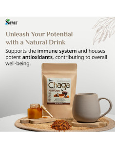 Polvo Grueso de Chaga Sayan 113g - Té Antioxidante Orgánico 2