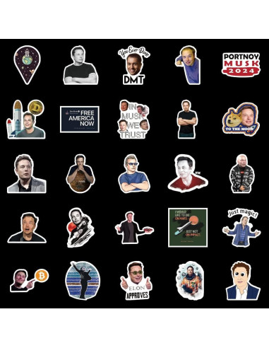 50 Pegatinas Impermeables de Vinilo Sticker Universe - Elon Musk