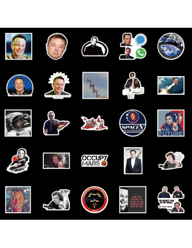 50 Pegatinas Impermeables de Vinilo Sticker Universe - Elon Musk