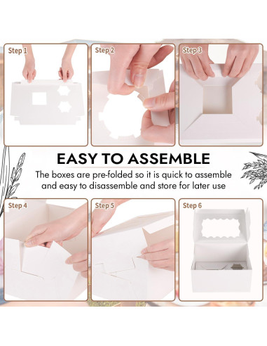 Cajas de Bento para Pastel y Cupcake JCD - 8 Paquetes con Ventana