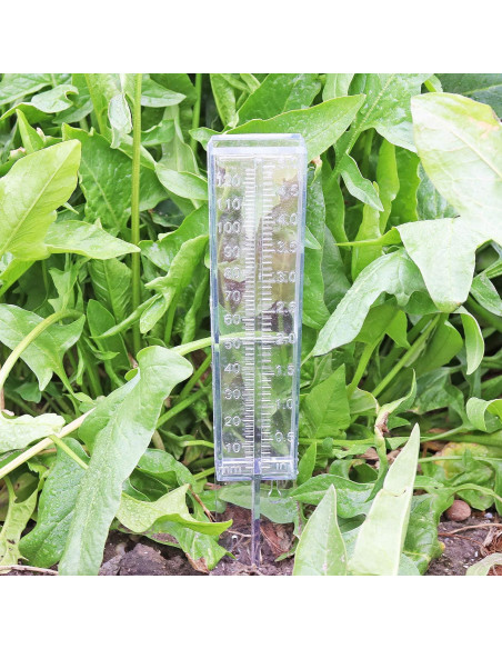 Medidor de Lluvia DARALIS 30.48 cm Paquete de 2