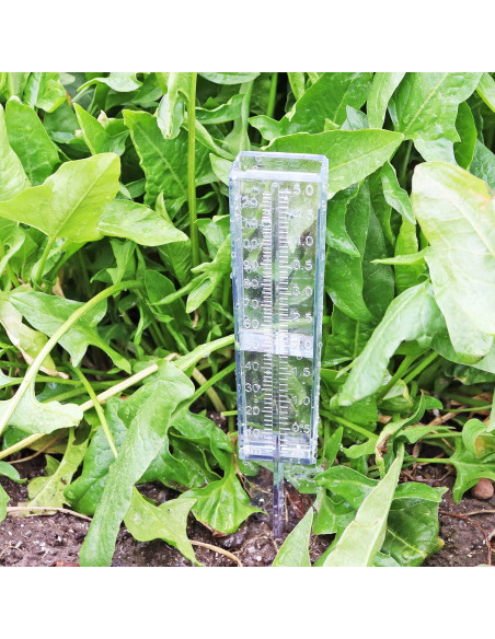 Medidor de Lluvia DARALIS 30.48 cm Paquete de 2