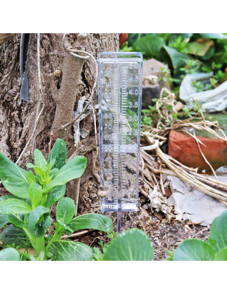 Medidor de Lluvia DARALIS 30.48 cm Paquete de 2