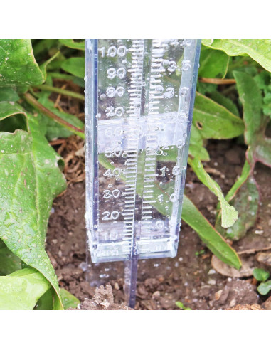 Medidor de Lluvia DARALIS 30.48 cm Paquete de 2