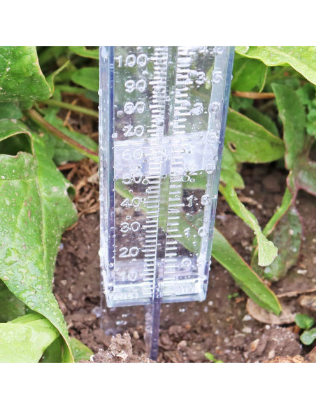 Medidor de Lluvia DARALIS 30.48 cm Paquete de 2