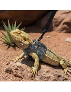 Juego de Arnés y Correa Classicseali para Dragón Barbudo - 3 Tamaños 2