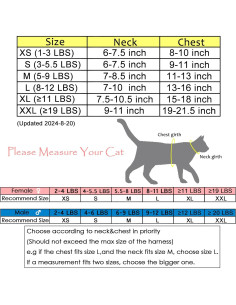 Arnés y Correa para Gatos Yizhi Miaow Azul Grande A Prueba de Escapes 2