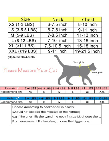 Arnés y Correa para Gatos Yizhi Miaow Azul Grande A Prueba de Escapes