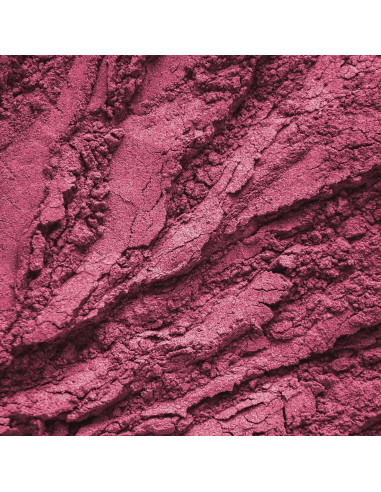 Polvo de Baya de Acai Earthborn Elements 567g - Superalimento