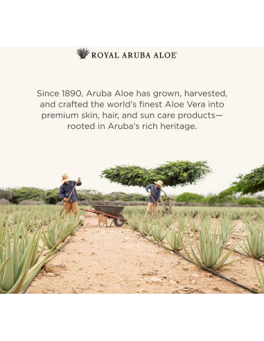 Loción Reparadora Post-Solar Aruba Aloe - Hidratante 118 ml